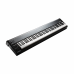 Kurzweil KM88 88鍵 MIDI主控鍵盤